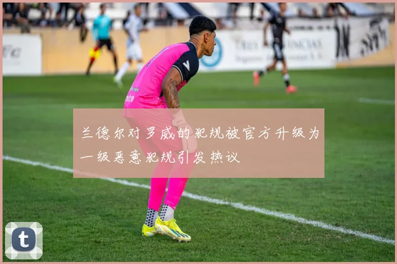 兰德尔对罗威的犯规被官方升级为一级恶意犯规引发热议